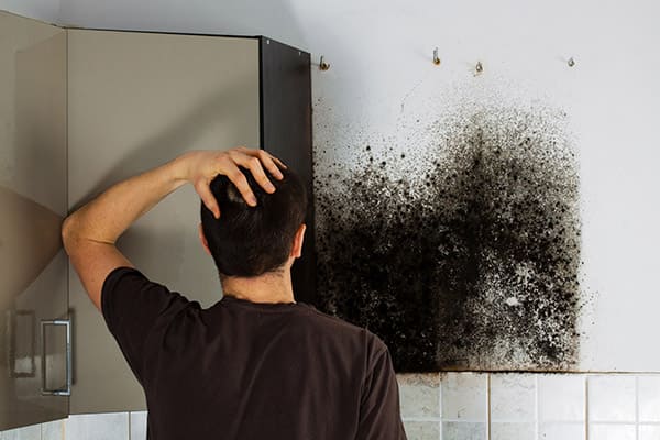 Water Damage Restoration Team at Work